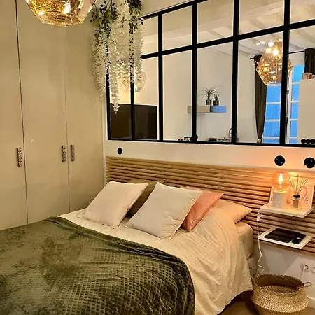 Loft Du Marais Apartment *